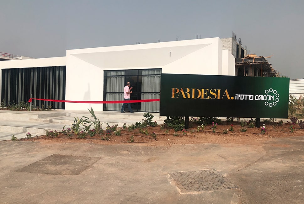 pardesia_0006_IMG_8938-min